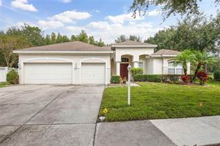 17217 KEELY DRIVE, Tampa, FL, 33647