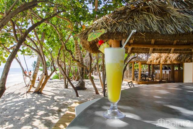 Punta Cana Luxury Villa For Sale | Hacienda C12 | Punta Cana Resort & Club, La Altagracia - photo 62 of 74