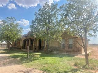 2510 SE County Rd 5501, Andrews, TX, 79714