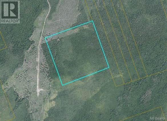 Land For Sale at 50 acres Route 117, Hardwicke, New Brunswick | Point2