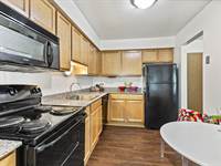 Apartment for rent in 28733 Franklin River Drive, Southfield, MI, 48034