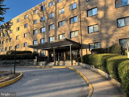 8601 MANCHESTER RD #313, Silver Spring, MD, 20901