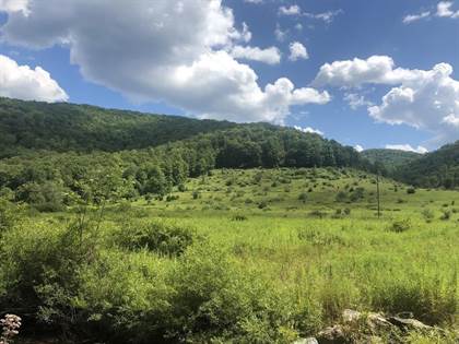 Lots And Land for sale in 2331 Clear Creek Road, Emporium, Emporium, PA, 15834