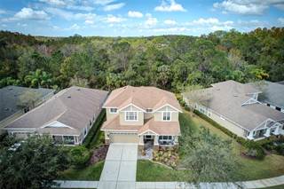 20076 HERITAGE POINT DRIVE, Tampa, FL, 33647