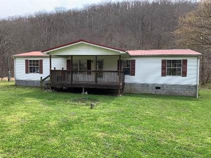 2833 Right Fork Georges Creek Road, Louisa, KY, 41230