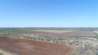 Tbd COUNTY ROAD 231, Coleman, TX, 76834