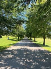 Lot 47 Beacon St., Russell Springs, KY, 42642