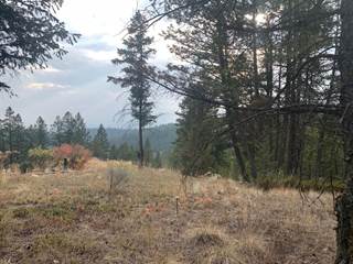 Lot 4 CROOKED TREE PLACE, Fairmont Hot Springs, British Columbia, V0B1L1