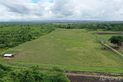 Farm And Agriculture for sale in 25 Acres with Coral near the Belize River, Belmopan, Cayo