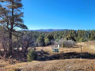162/177/180 Carey's Court, Pagosa Springs, CO, 81147