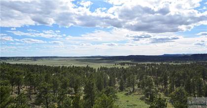 Farm And Agriculture for sale in Nhn "1280+/- Acres+BLM HuffLine ROAD, Worden, MT, 59088