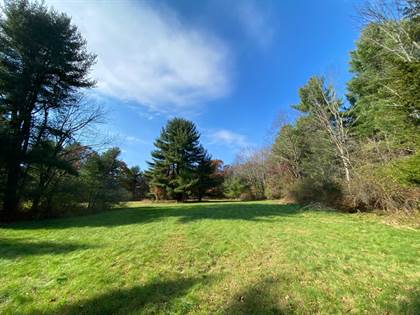 421 Snydertown Rd, Greater Claverack - Red Mills, NY, 12521