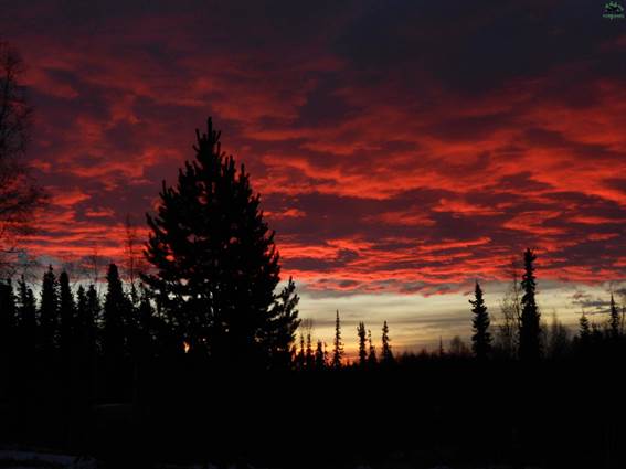 nhn NOT AVAILABLE, 99756, Yukon-Koyukuk county, AK - photo 32 of 33