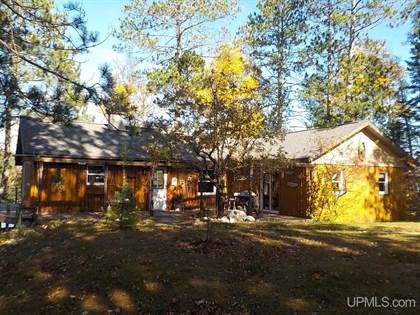 Picture of 159 South Shore, Crystal Falls, MI, 49920