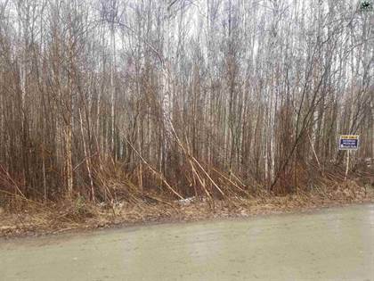 Lots And Land for sale in NHN BIRCH KNOLL ROAD, Fairbanks, AK, 99709