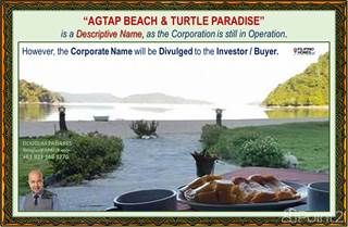 Beach Resort Award-Winning Facilities are All FREE, Pay for the Land Only at Palawan Part 2, San Vicente, Palawan