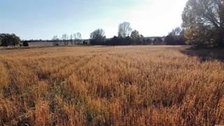 Lot 6 Pine Tree Place, Greenbrier, AR, 72058