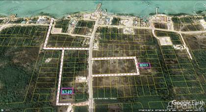 Secret beach lot with seller financing , Ambergris Caye, Belize