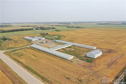 poultry farm for sale by owner