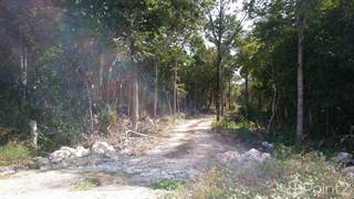 Lots And Land for sale in REGION 12 MZA 894, Tulum, Quintana Roo