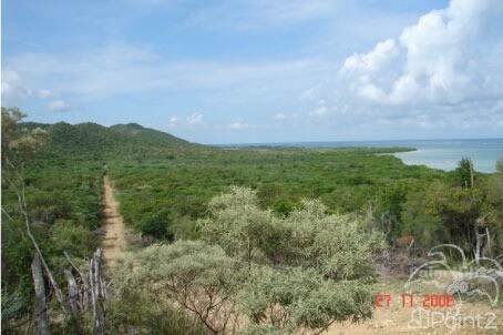 Wonderful Property Included Permission for Private or Tourist Projects, Manabí