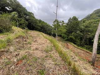 2.48 ACRES – Ocean View Property At End Of The Road, Multiple Building Sites, All Year Creek!, Platanillo, Puntarenas