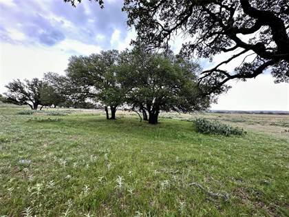 Picture of Tbd25 County Road 128, Mullin, TX, 76864