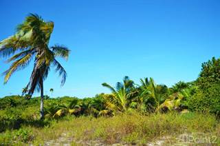 North Island Beachfront, Ambergris Caye, Belize