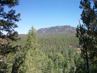 Land For Sale Christopher Creek Az Vacant Lots For Sale In