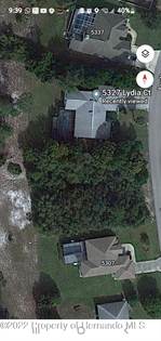 Picture of 0 Lydia Court, Spring Hill, FL, 34608
