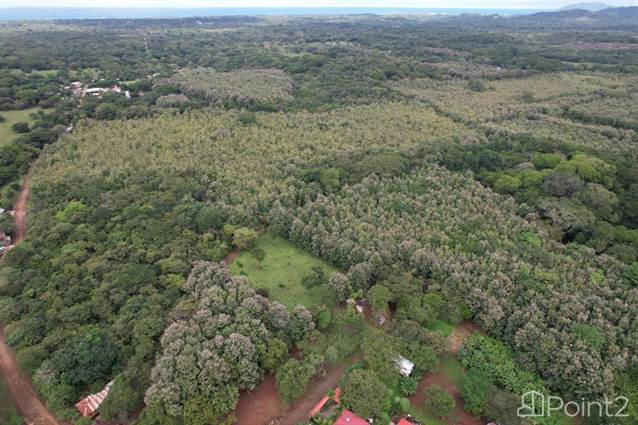 Farm For Sale With Commercial Activity – 20 Acres, Guanacaste - photo 20 of 24