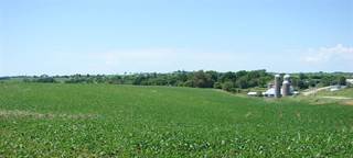212.5  Acres County Road H, Blanchardville, WI, 53516