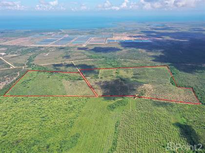 Lots And Land for sale in 207 Acres near the Coastal Highway| Stann Creek District, Gales Point, Stann Creek