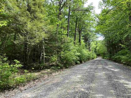 Lots And Land for sale in Cornwell Road, Greenfield, NH, 03047