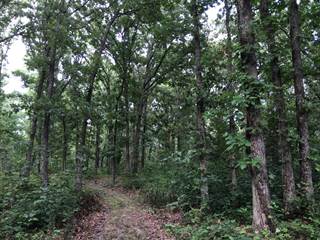 00 Old Highway 13 Lot 6, Collins, MO, 64738