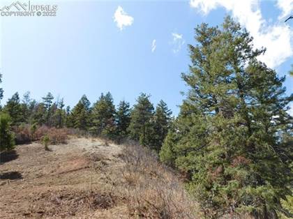 Lots And Land for sale in 8077 Acoma Drive, Larkspur, CO, 80118