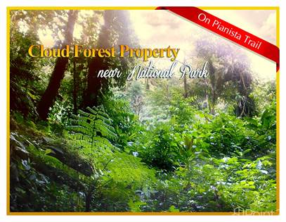 Cloud Forest Property Near La Amistad National Park in Panama, Boquete, Chiriquí