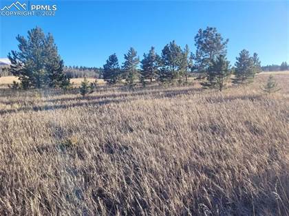 Picture of 589 Maid Marian Drive, Divide, CO, 80814