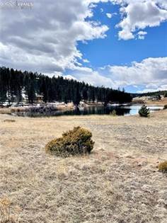Picture of 550 Shadow Lake Drive, Divide, CO, 80814