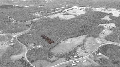 1998 (Tract 7) Vine Hill Road, Beaver Dam, KY, 42320