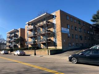 Houses Apartments For Rent In Hyde Park Ma From 1 600 Point2