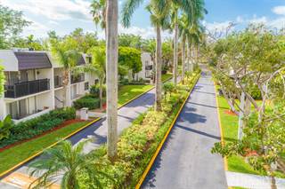 Casas Apartamentos En Renta En Miami Fl Desde 790 Point2 Homes