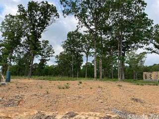Lot 3 Orchard Hill Ph III, Conway, AR, 72034