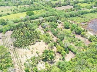 15 Acres With Well And Fruit Trees, Belmopan, Cayo