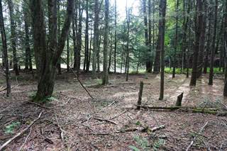 Land For Sale Schoharie County : Schoharie County Ny Land For Sale Landsearch / Note a buyer's premium buyer's fee in wi will apply for this property.