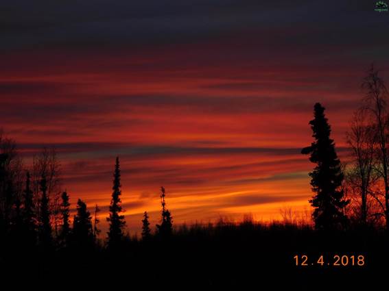 nhn NOT AVAILABLE, 99756, Yukon-Koyukuk county, AK - photo 33 of 33