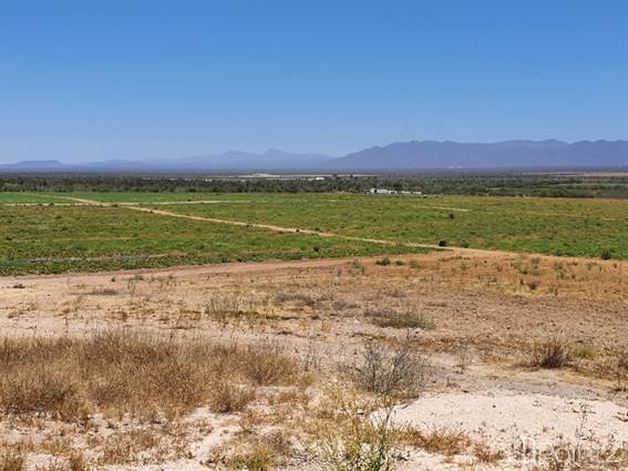 Rancho Cuero Colgado 58 Has / 143 Acres, Baja California Sur