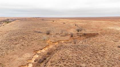 Picture of Tract 3 Morgan Ranch CR 2, Mobeetie, TX, 79061