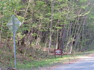 lot #2 Griffin Rd., Wells, NY, 12190