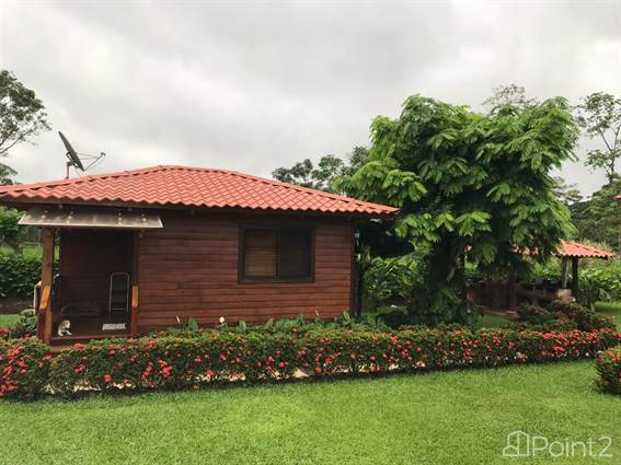 Macaws Dream Land House in San Ramon, Alajuela - photo 2 of 12